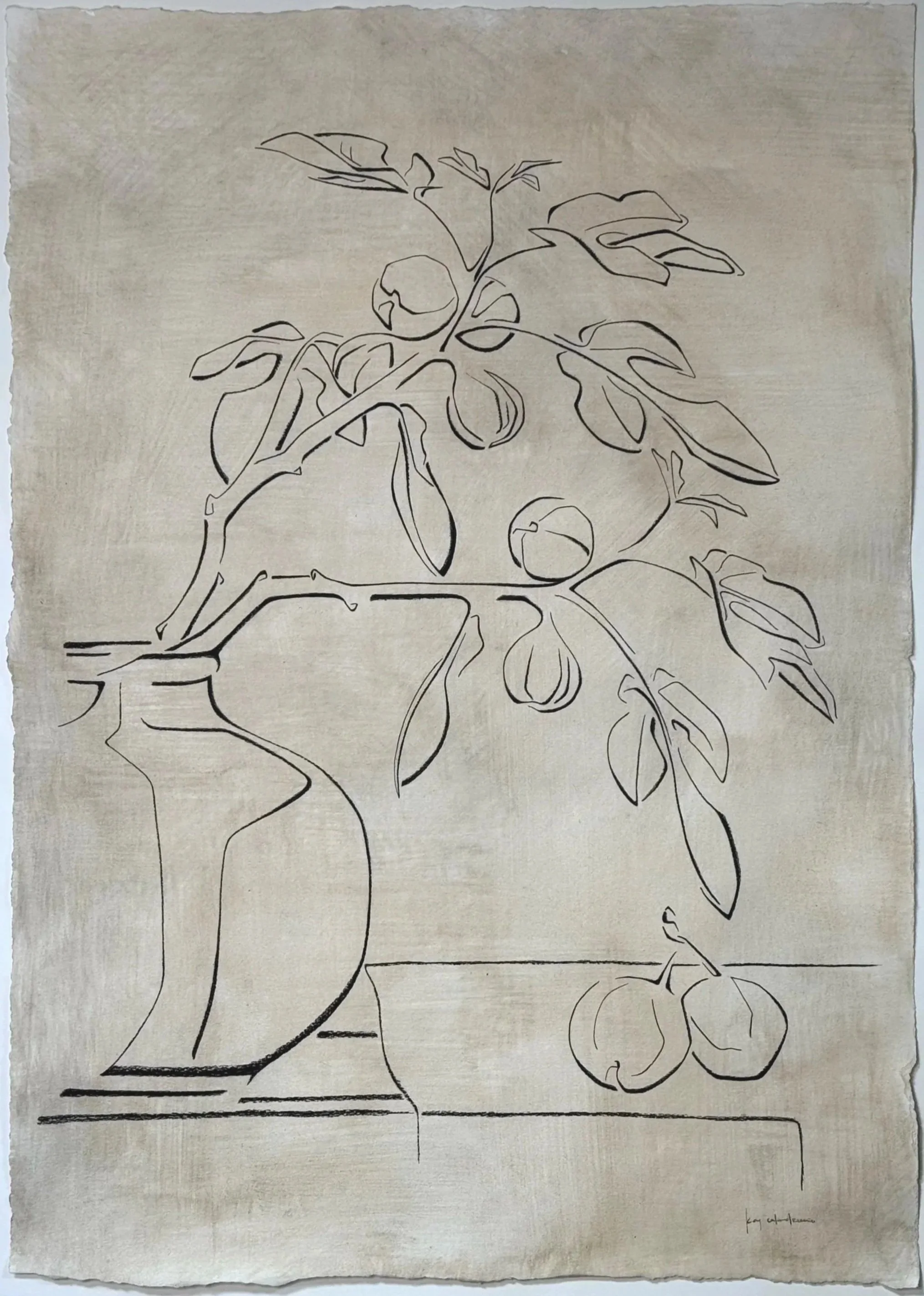 'Fig'
charcoal on hand washed paper
26"x36"