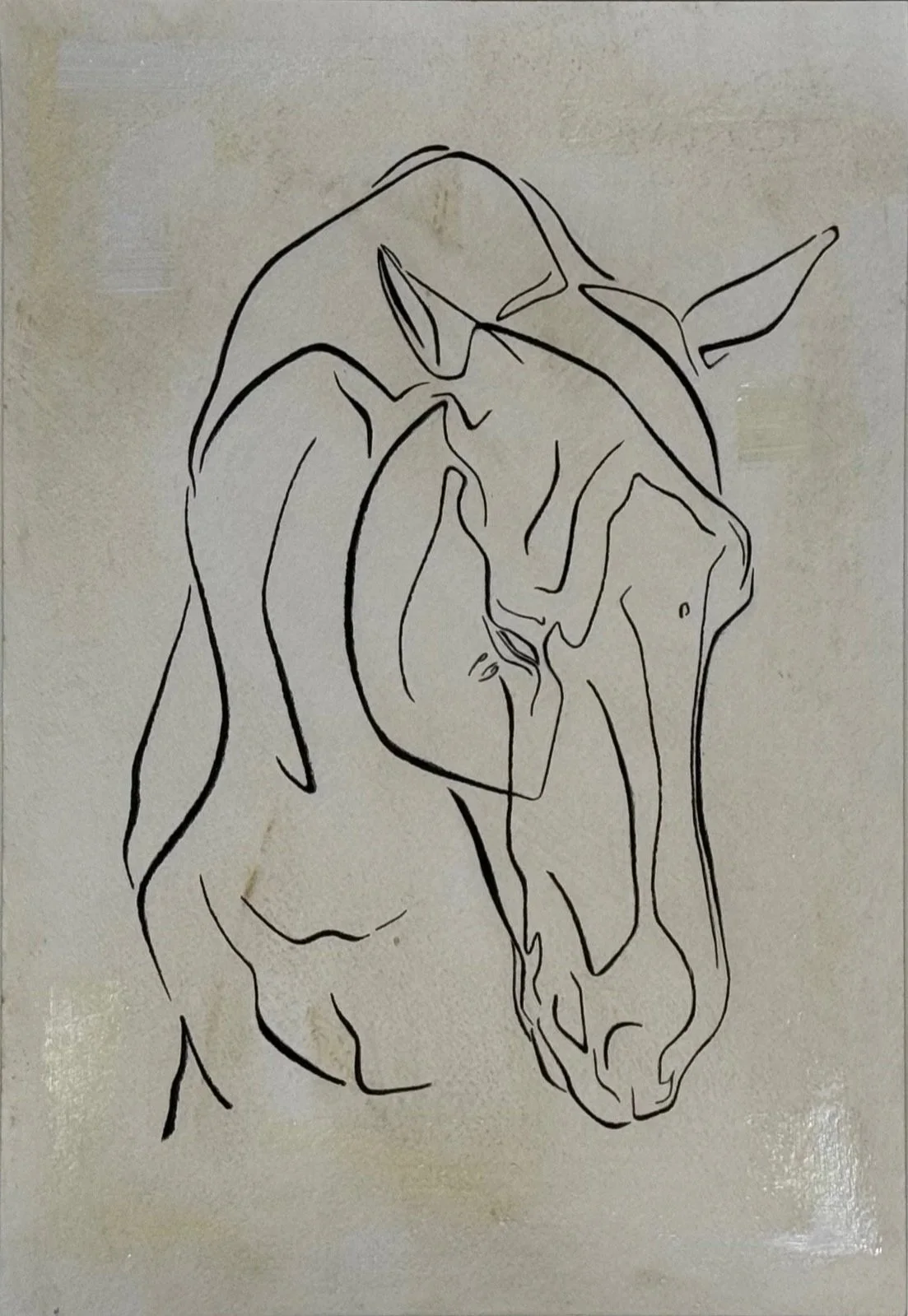 horse head study
charcoal on hand washed paper
12"x17.5"