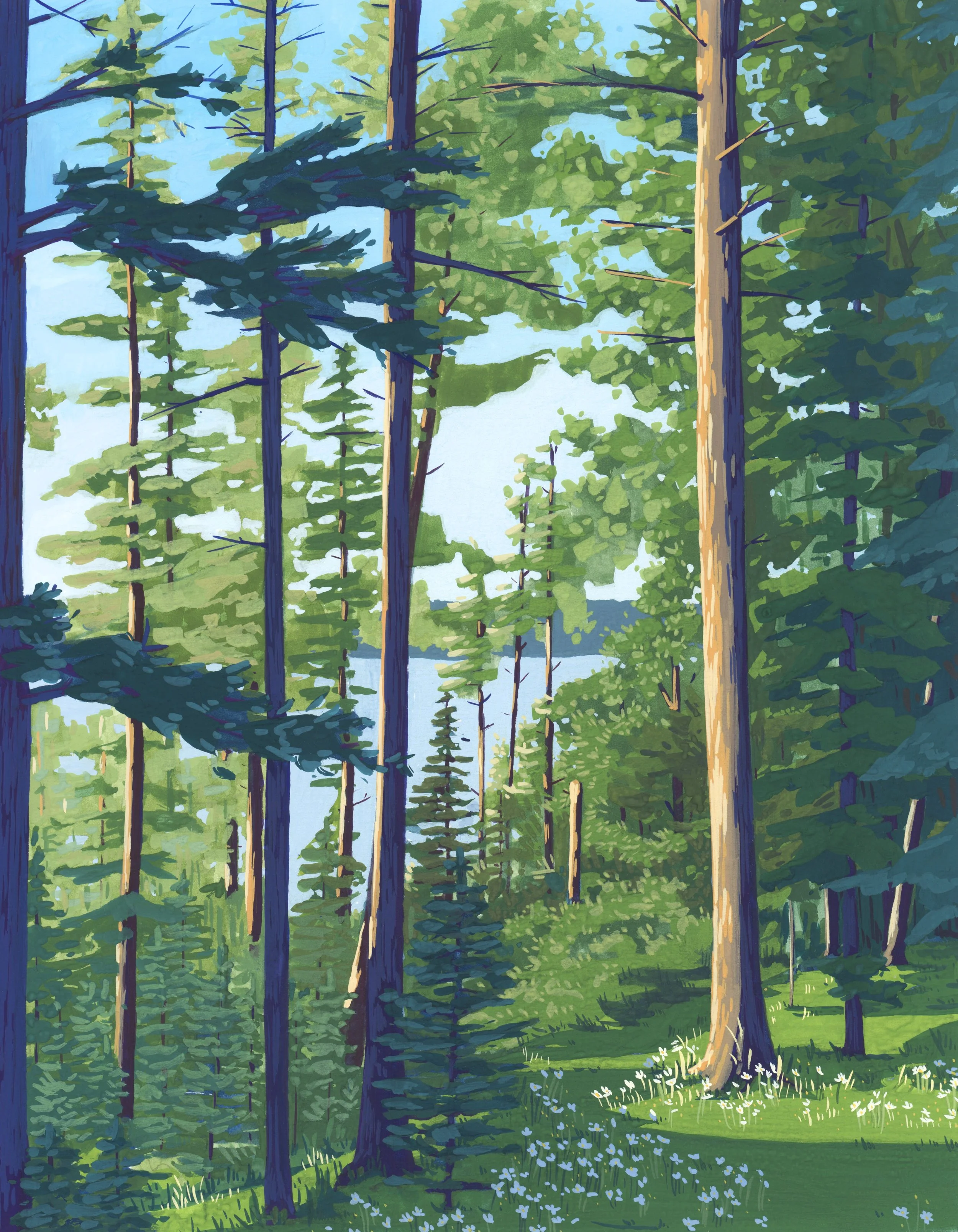 Spruce-2026.jpg