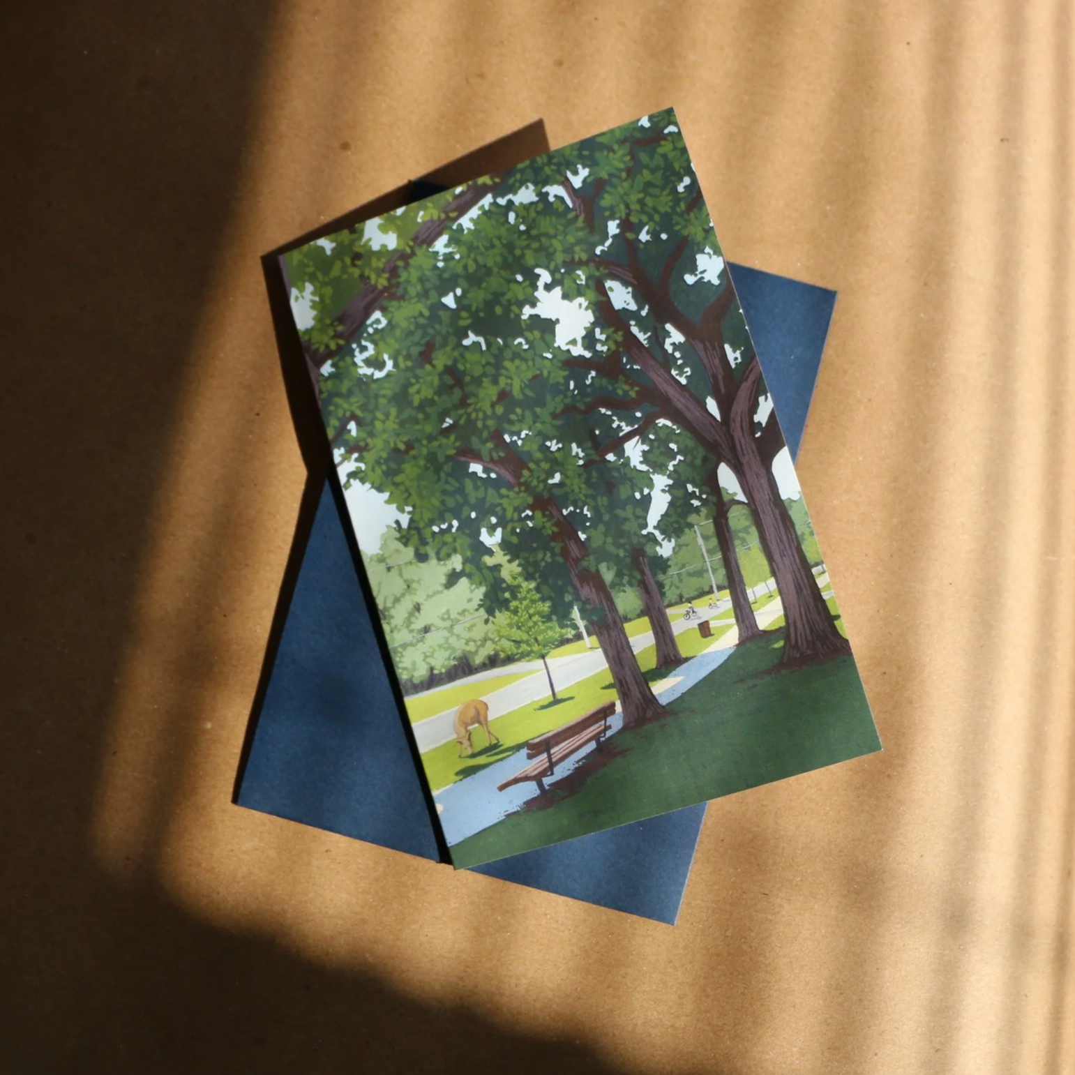 IMG_5518.png