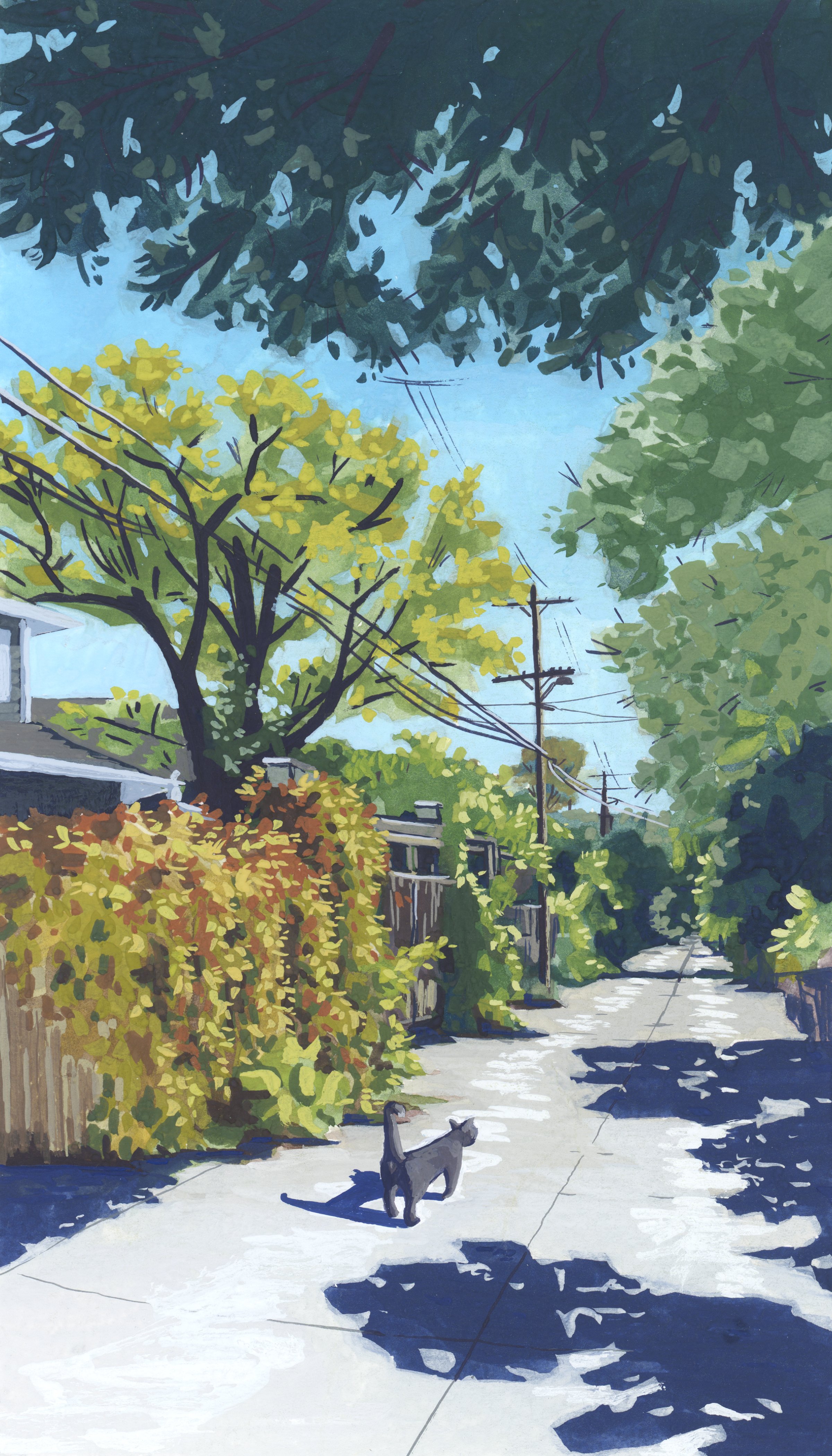 WellingtonLane-2026.jpg
