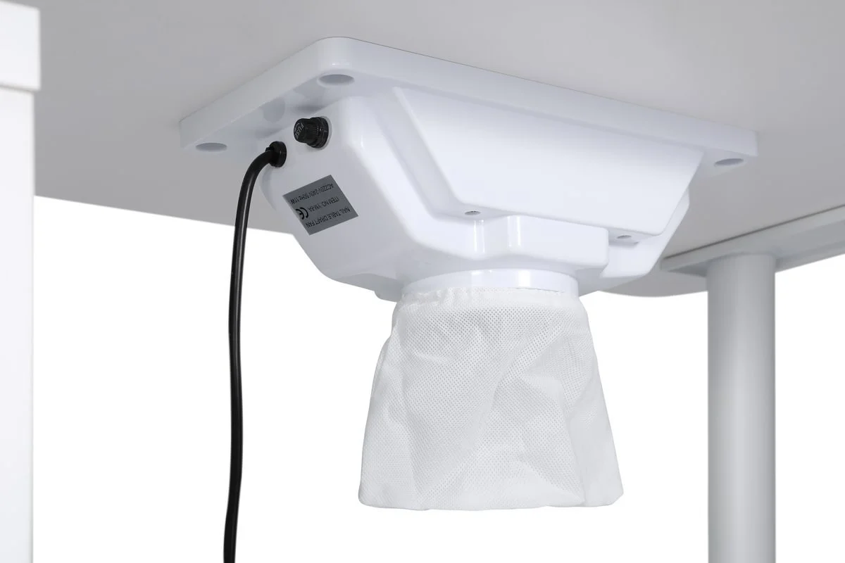 Marion - 2000 x 2000.jpg