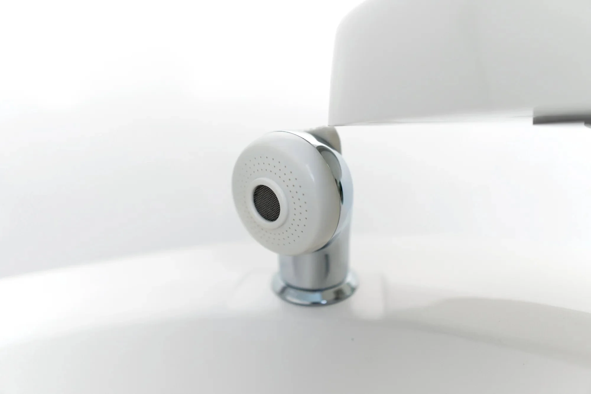 Ava - 2000 x 20005.jpg