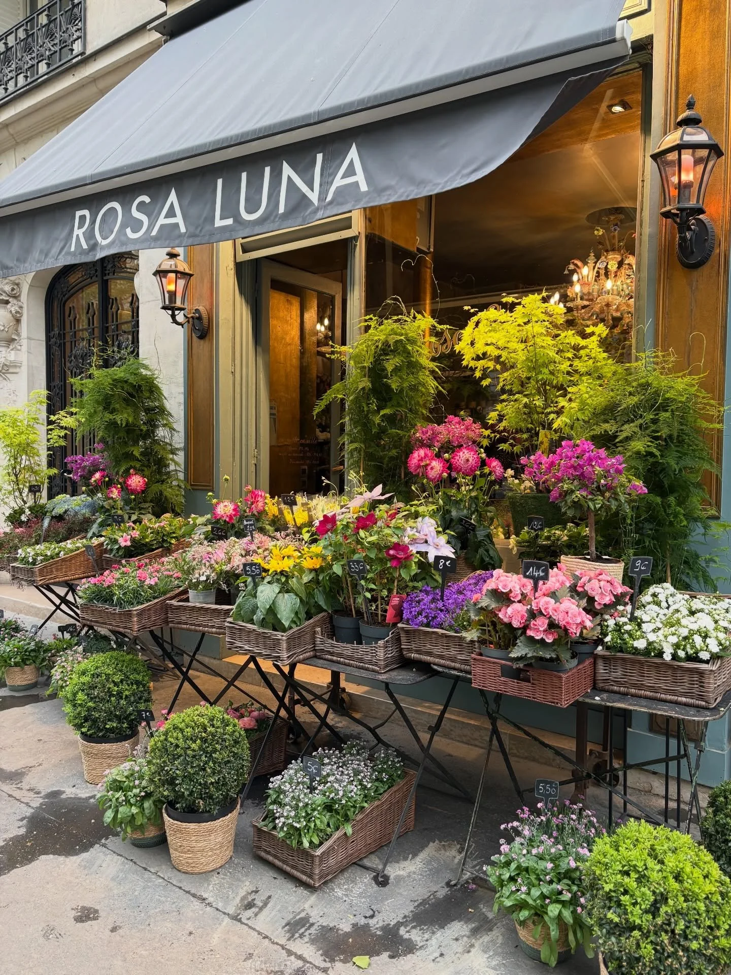 Postcards from Paris ❤️

A busy few days exploring PAD, and visiting suppliers and showrooms but always so grateful to be back in Paris ✨