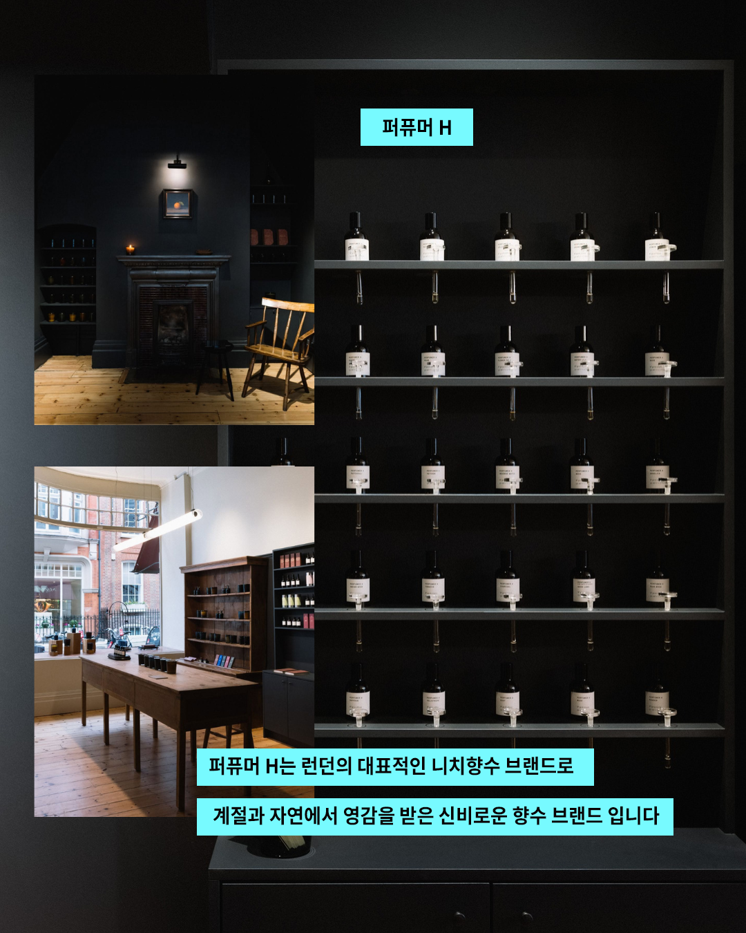 대지 1.png