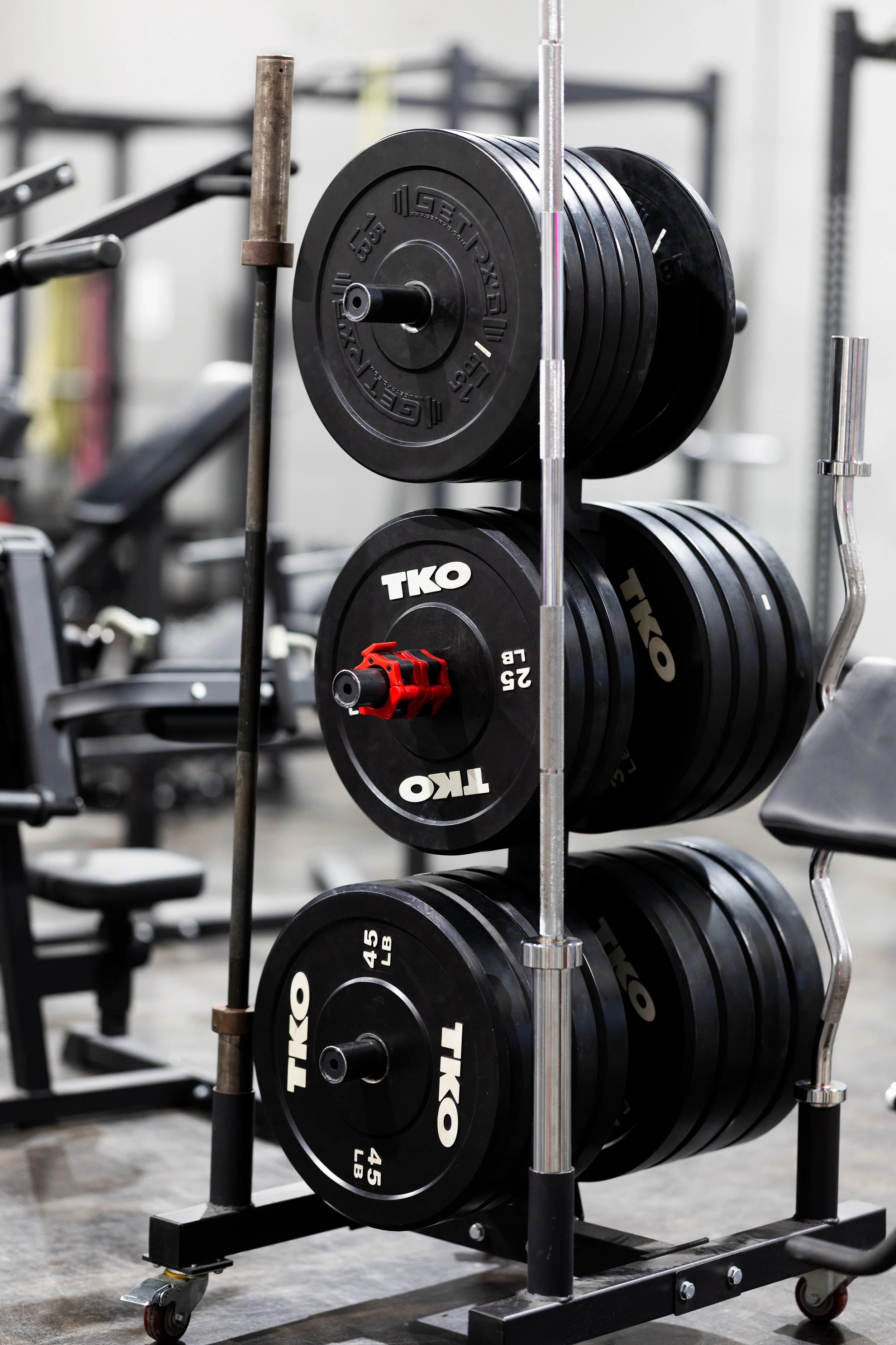 2026.01.11 - Pirates Cove-3028 - Copy.jpg