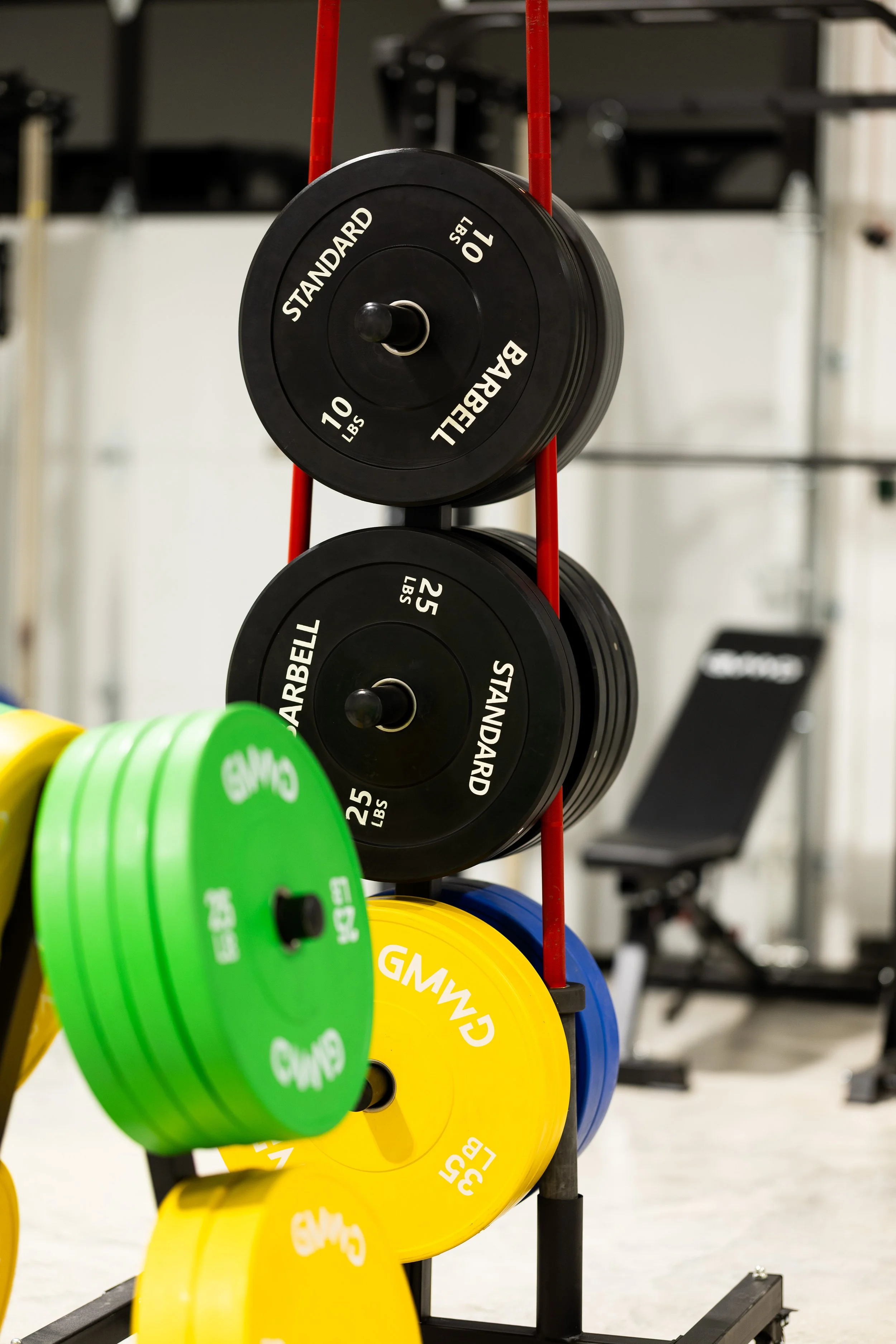 2026.01.11 - Pirates Cove-3224.jpg