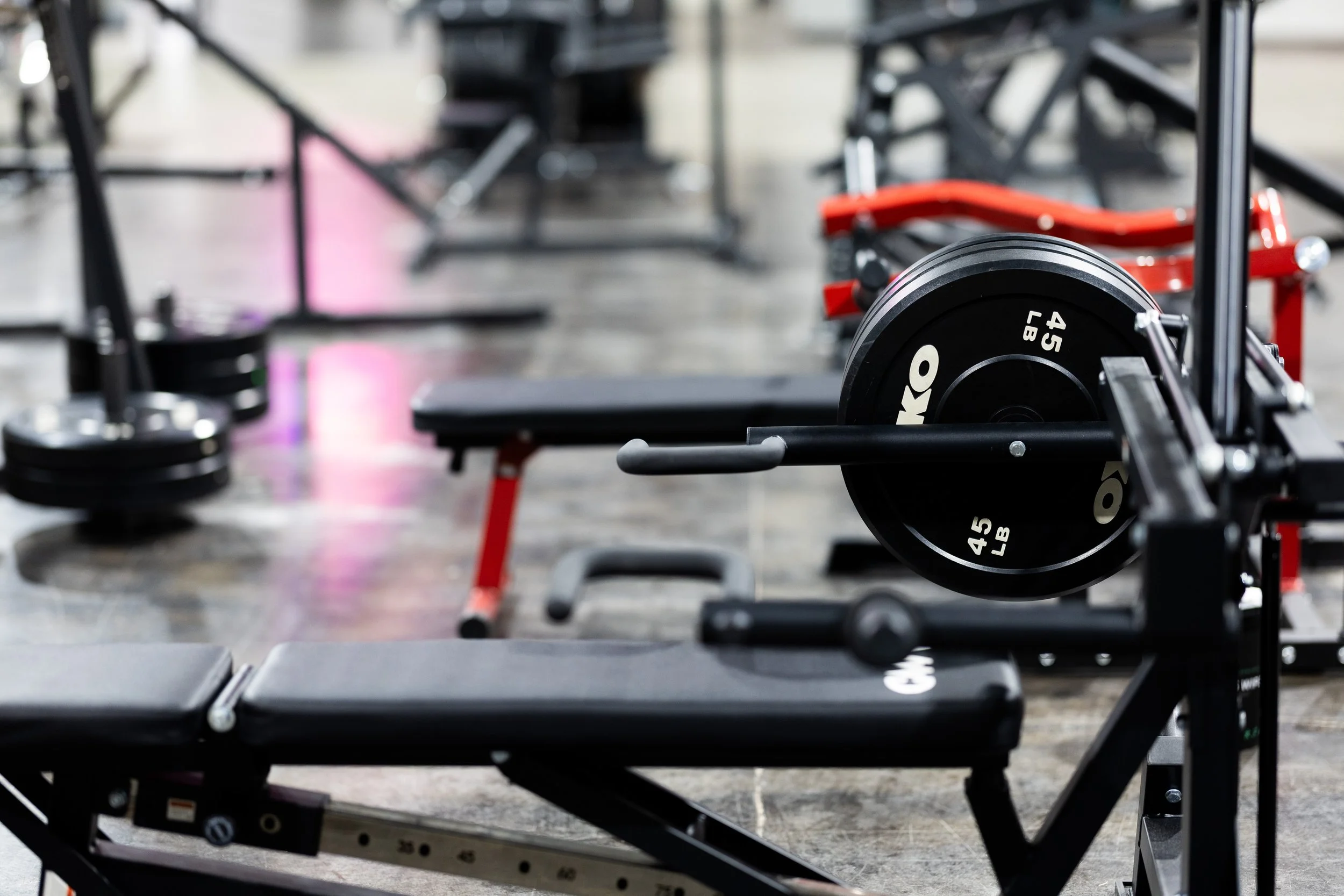 2026.01.11 - Pirates Cove-2967 - Copy.jpg