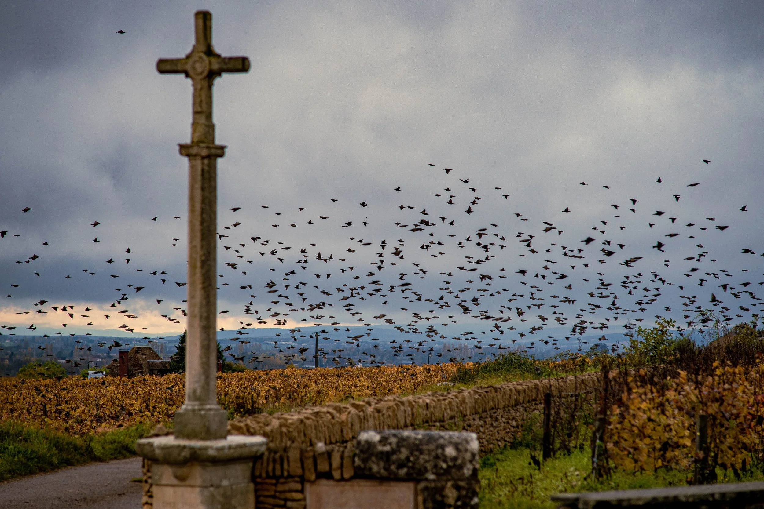 Sacred Ground: The Stone Crosses of Bourgogne