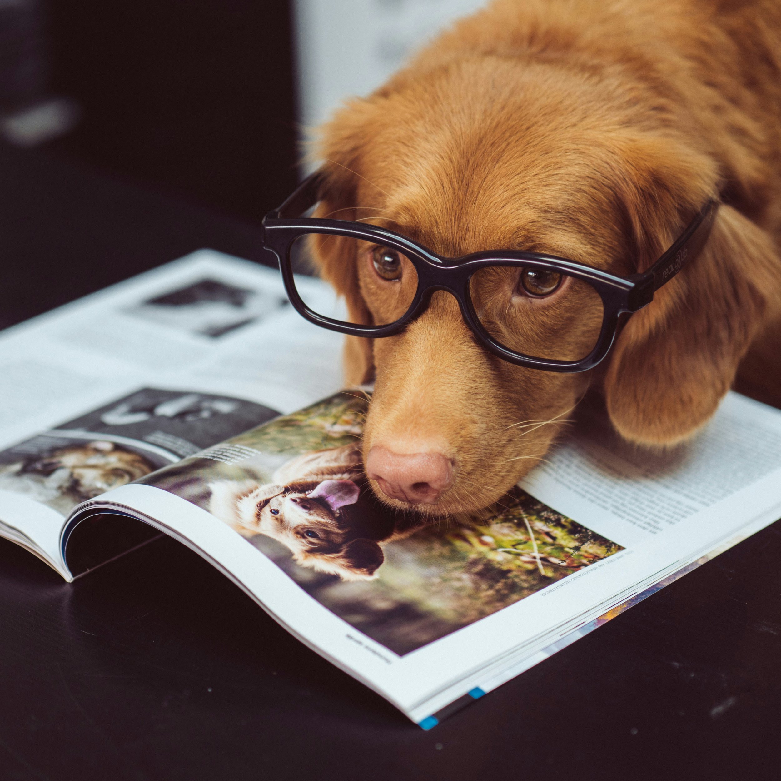 PRINT GRAPHIC DESIGN