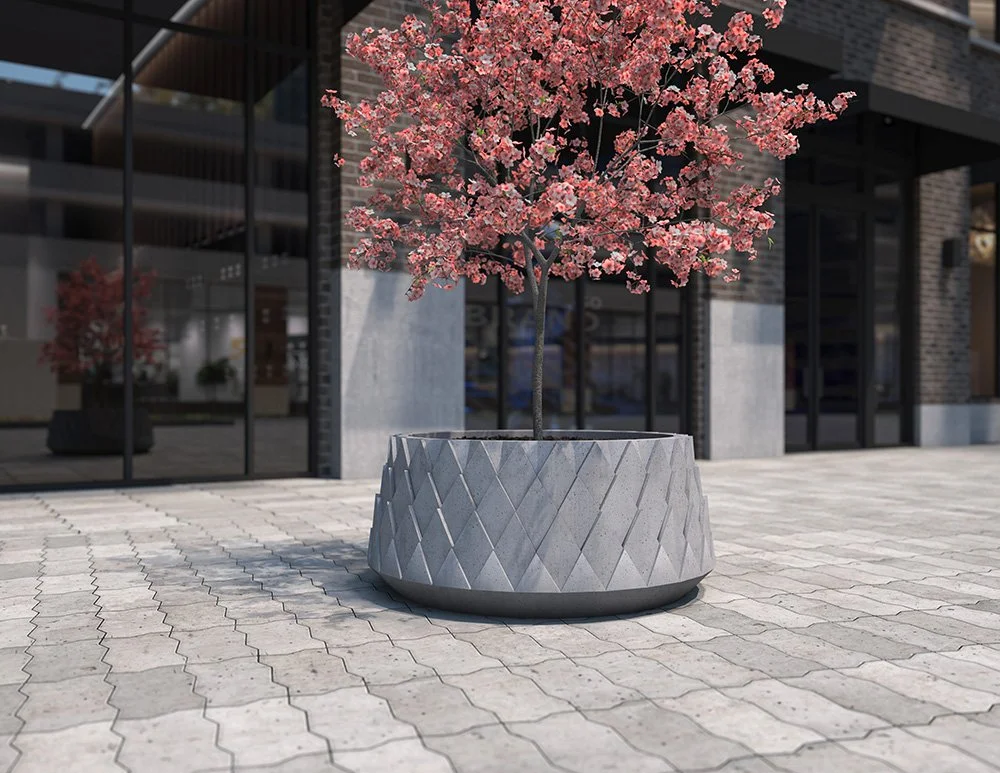 25.06.23 City Scape Planters street 1.jpg