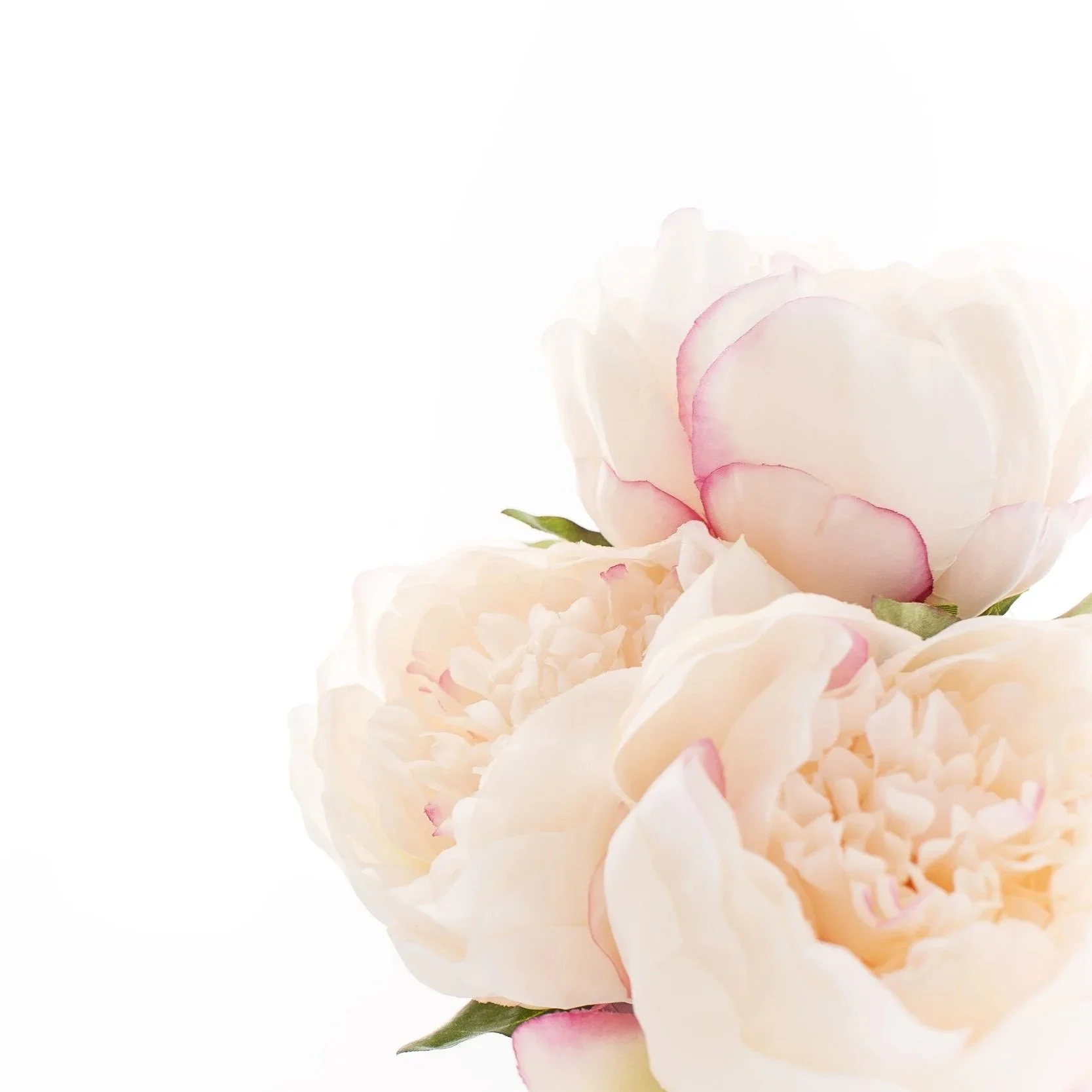 Women's Wellness Therapist in Annecy France