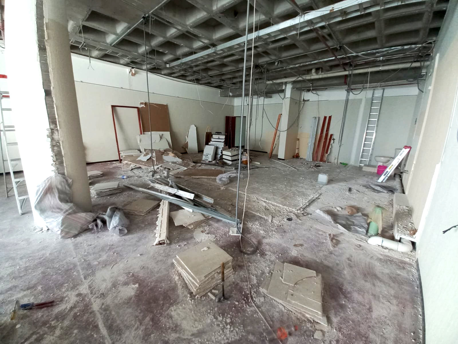 Foto de Lic_(12).png