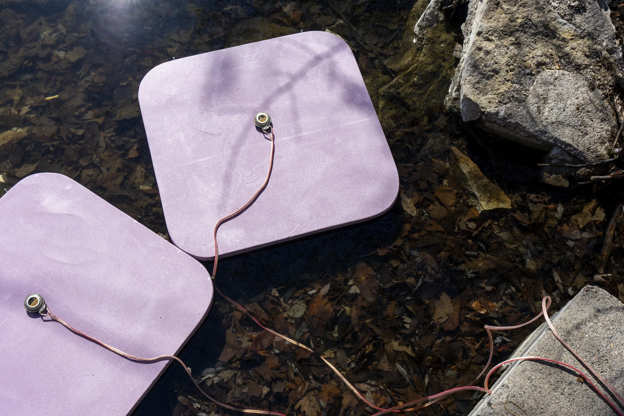 lake_speakers_doc-4.jpg