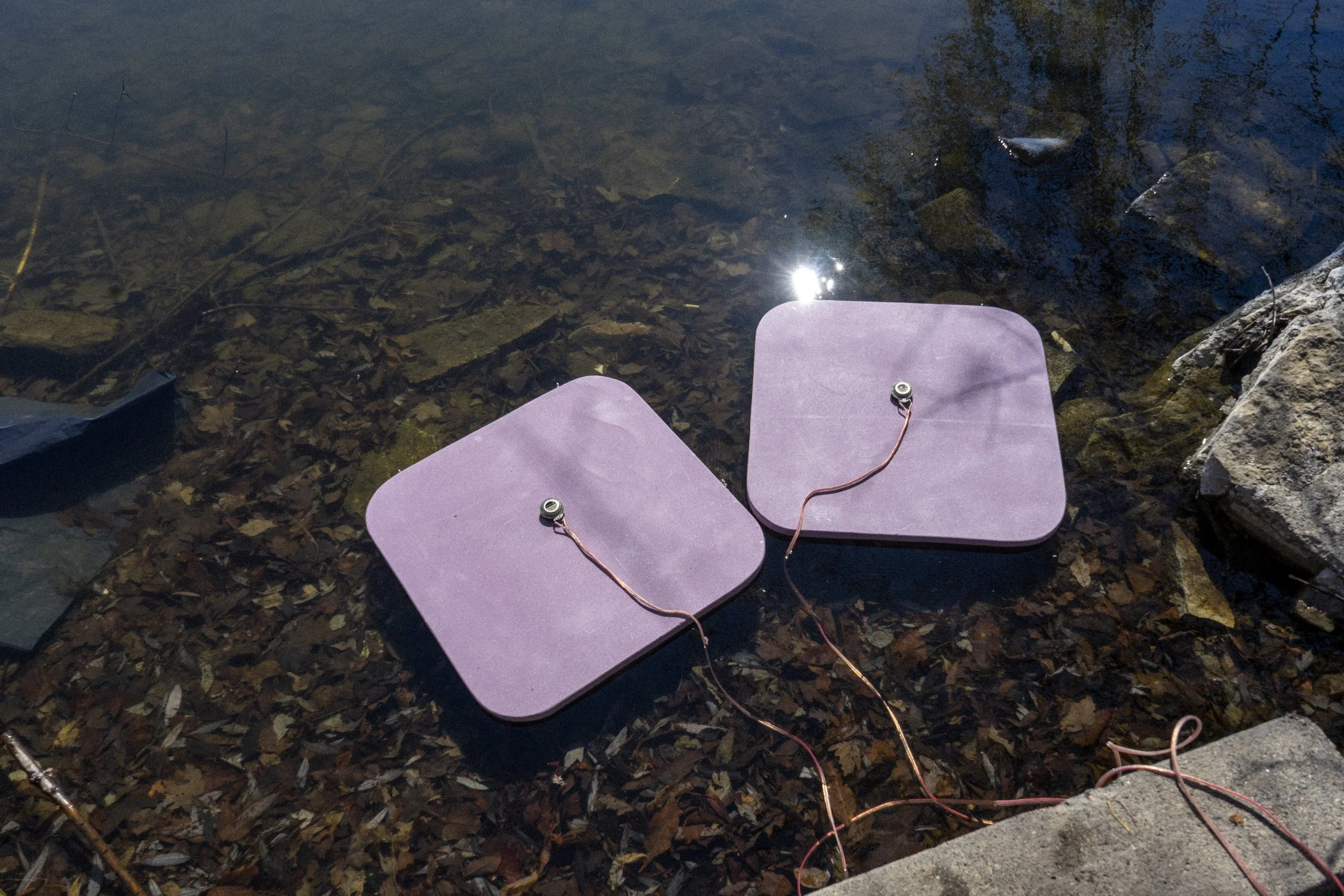 lake_speakers_doc-1.jpg