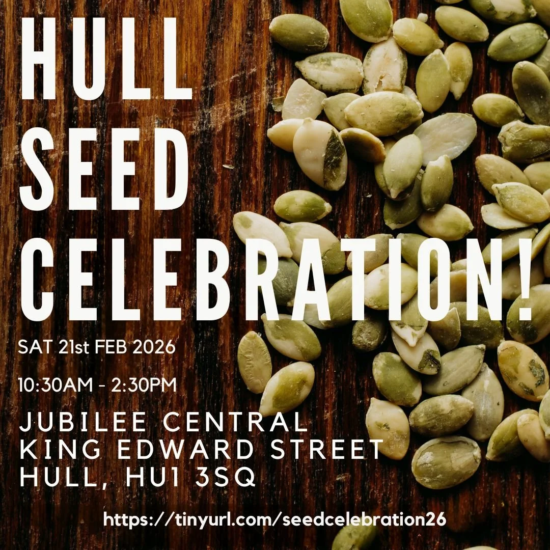 Hull Seed Celebration