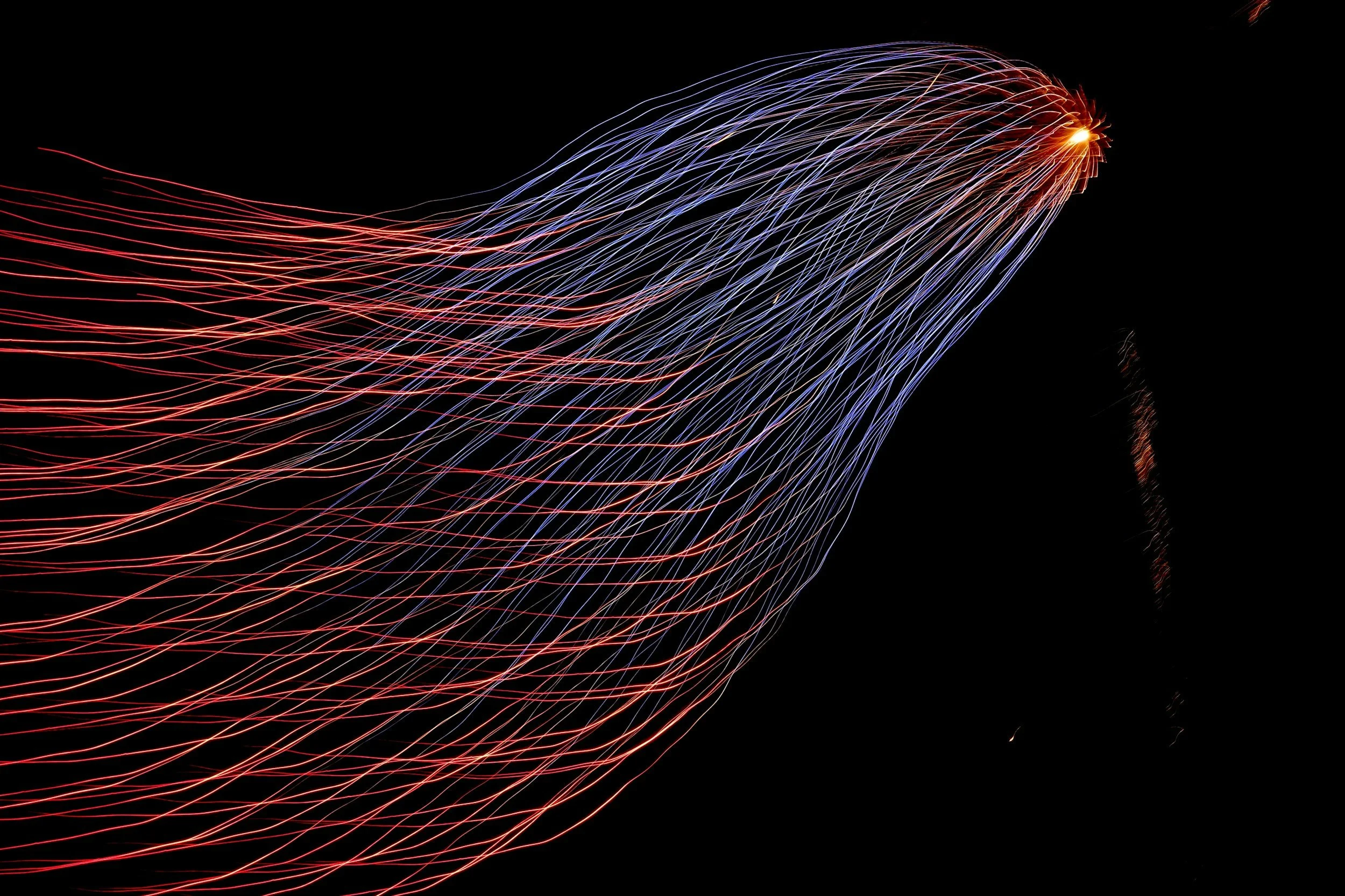 Building Responsible AI: Transparency Starts with Data Control
