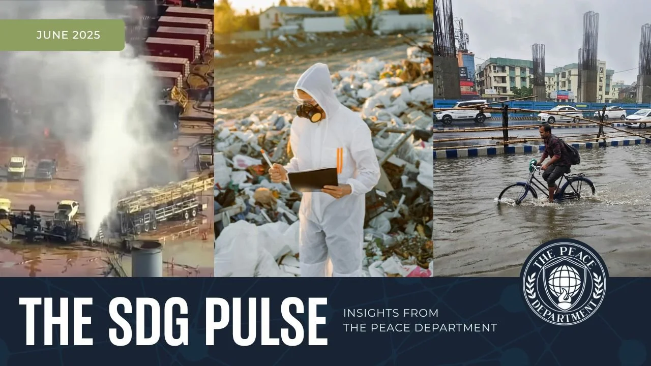 The SDG Pulse: June 2025