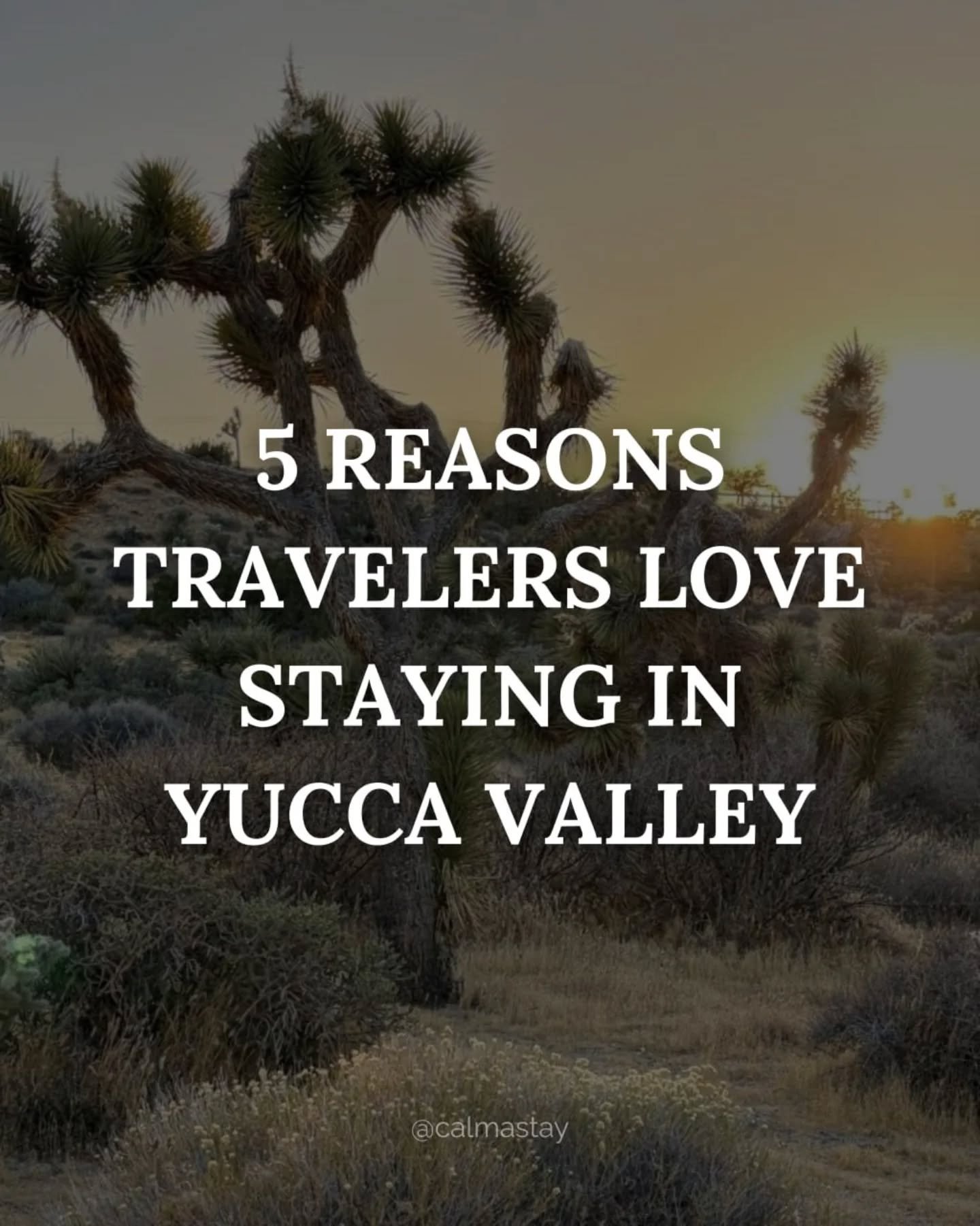 Thinking about a desert getaway? Here's why travelers keep choosing Yucca Valley. 

Close to adventure.
 Far from the noise.
From incredible sunsets and stargazing to slow mornings with coffee on the patio, Yucca Valley offers the kind of escape that