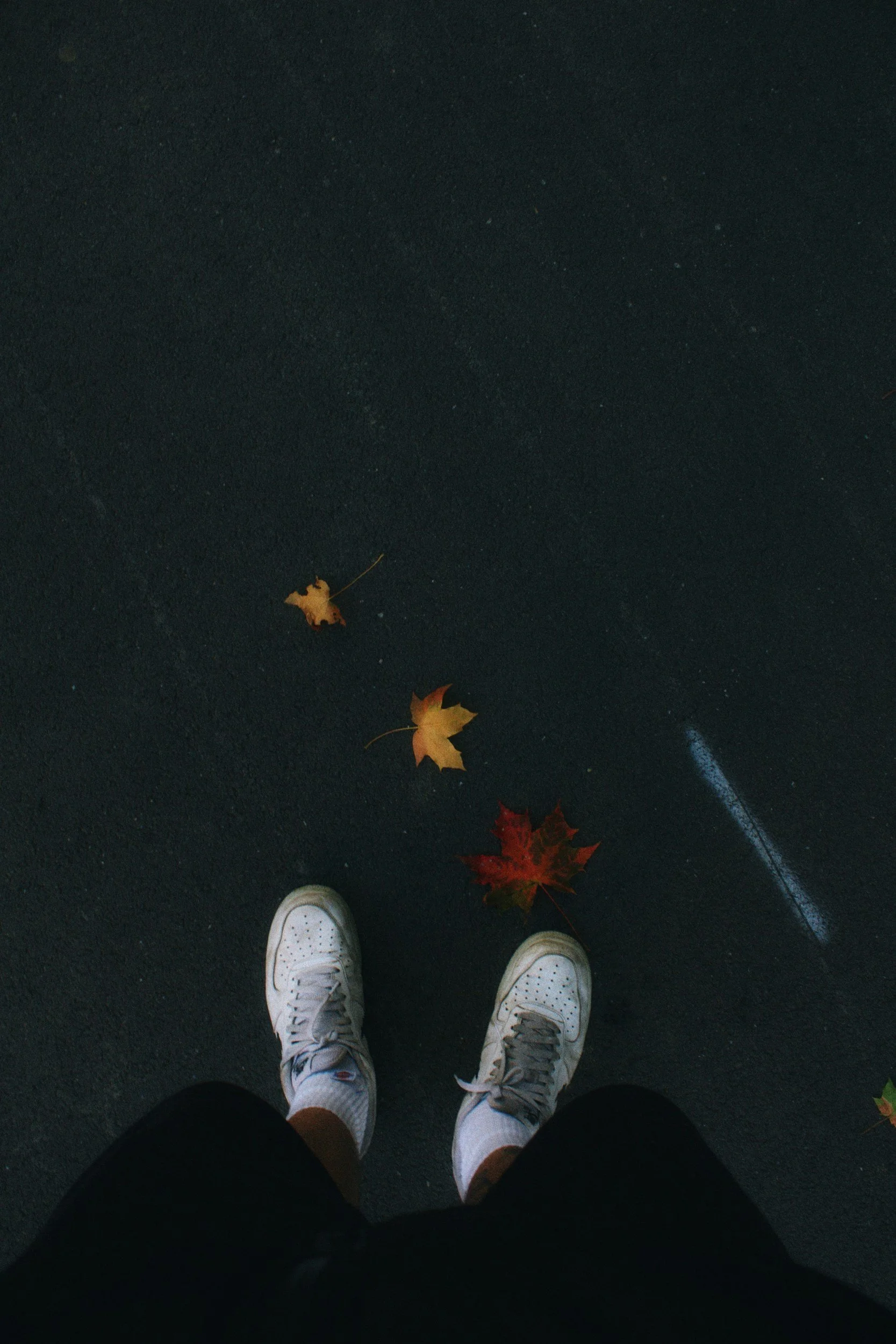 Mindful Sparks for Creative Writing