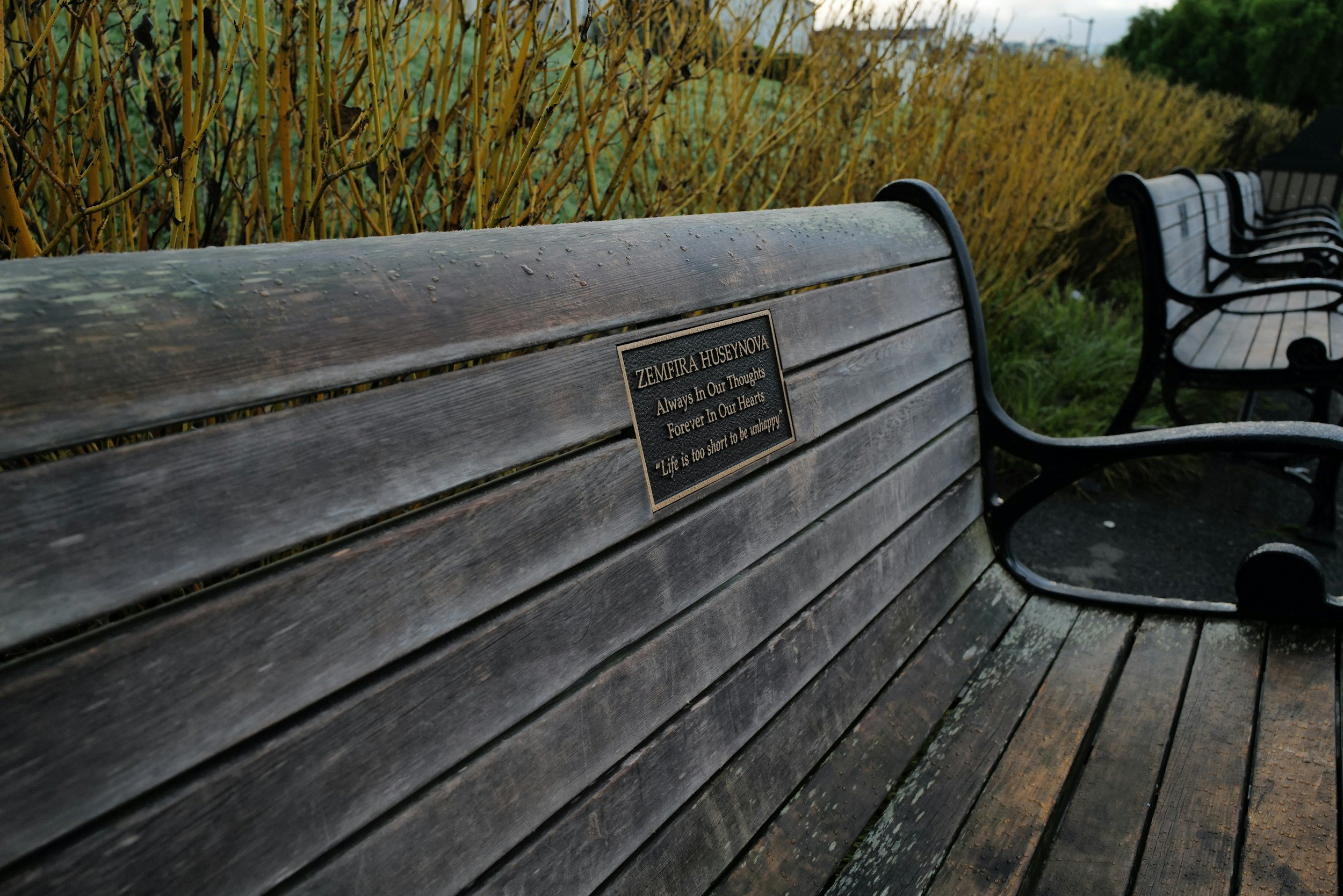 Mindful Sparks for Creative Writing