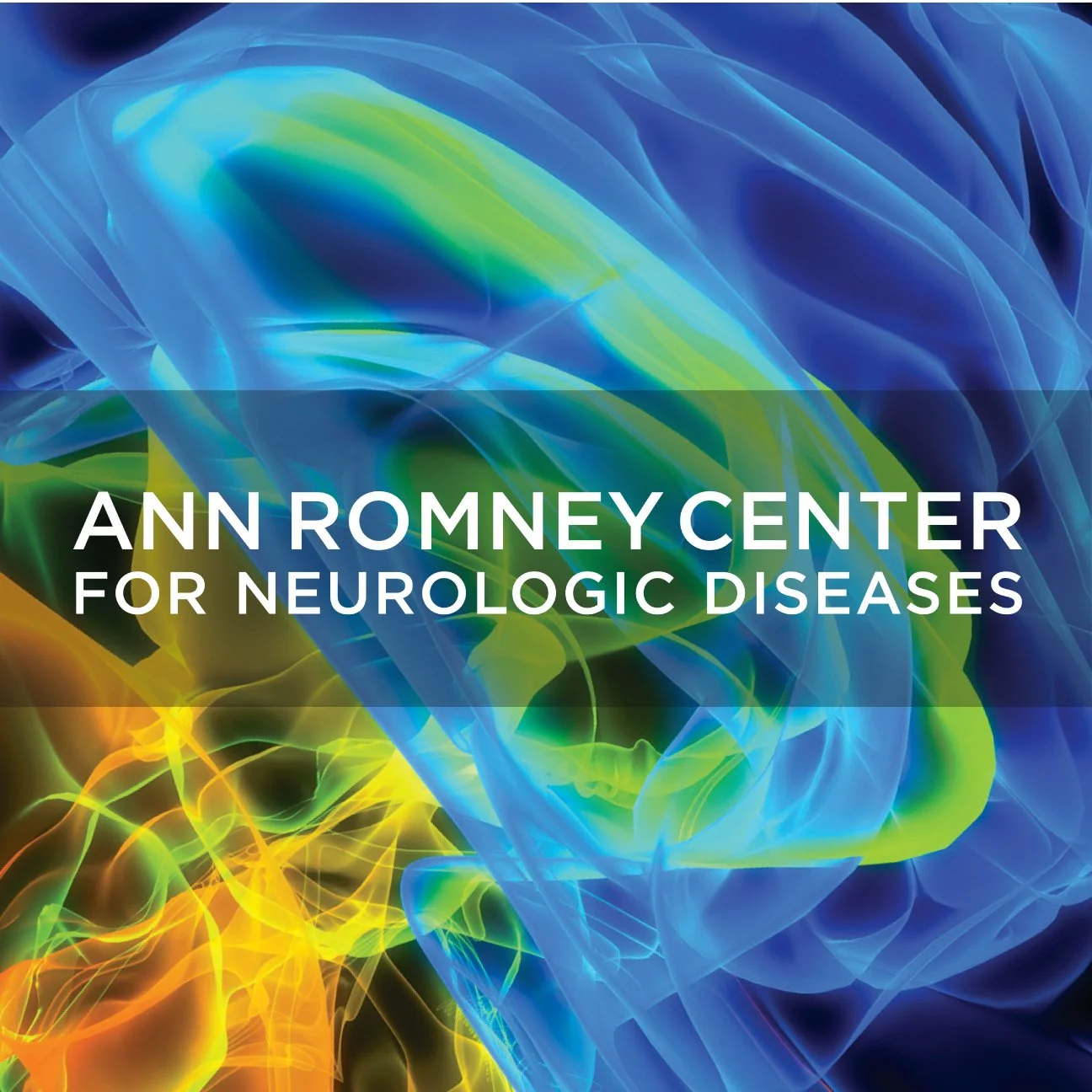 Ann Romney Center