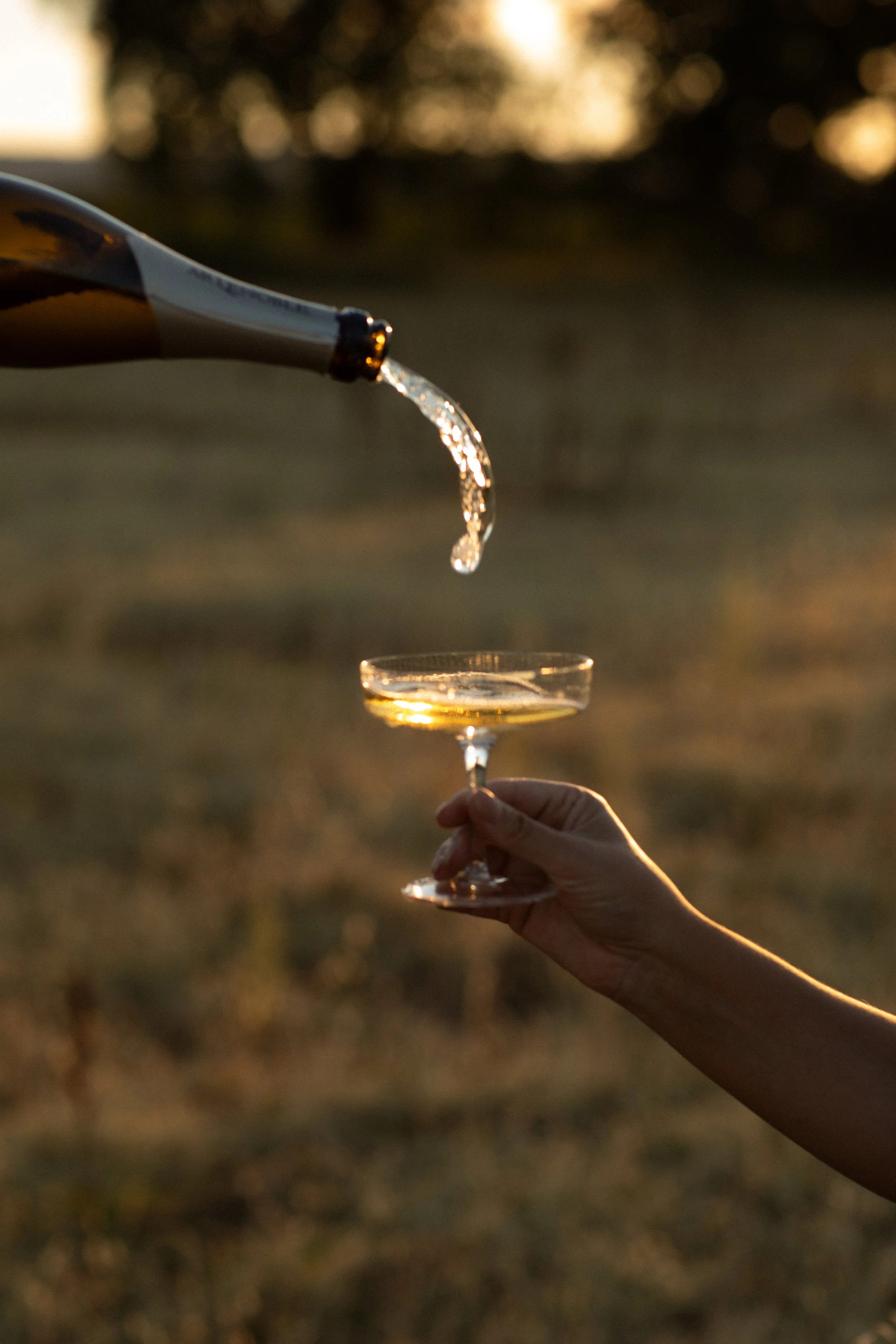 2025-8-25 Whitney and Sean Engagement-267.jpg