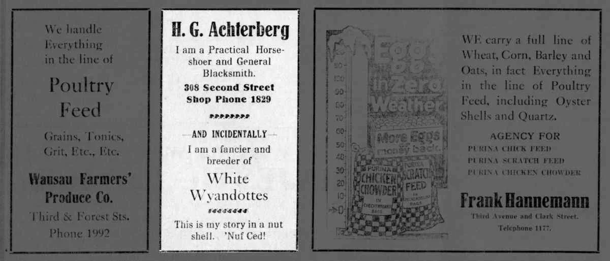 Master Horseshoers HG Achterberg ad, 27 Jan 1915.jpg 1915