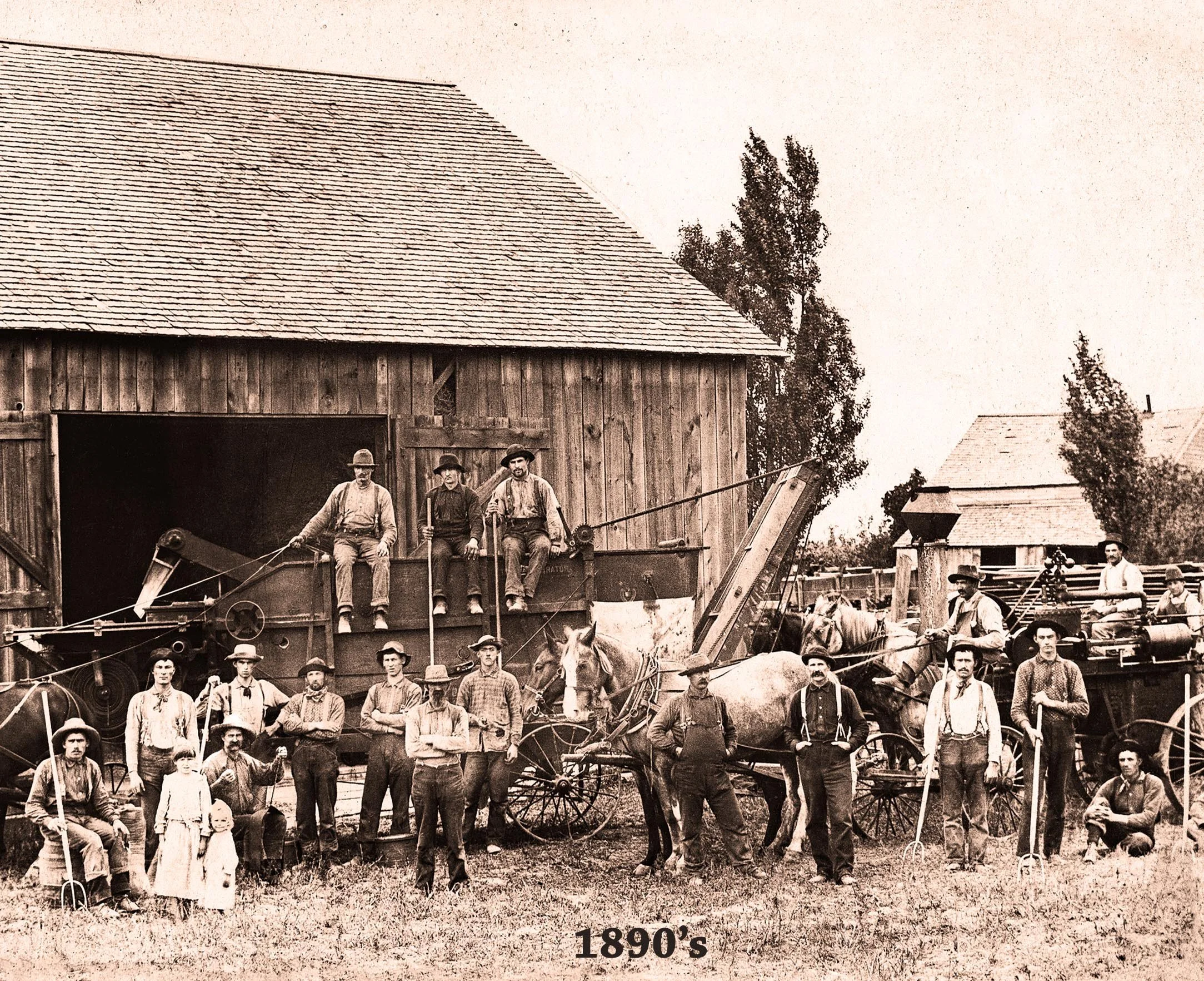 In Front of the Barn