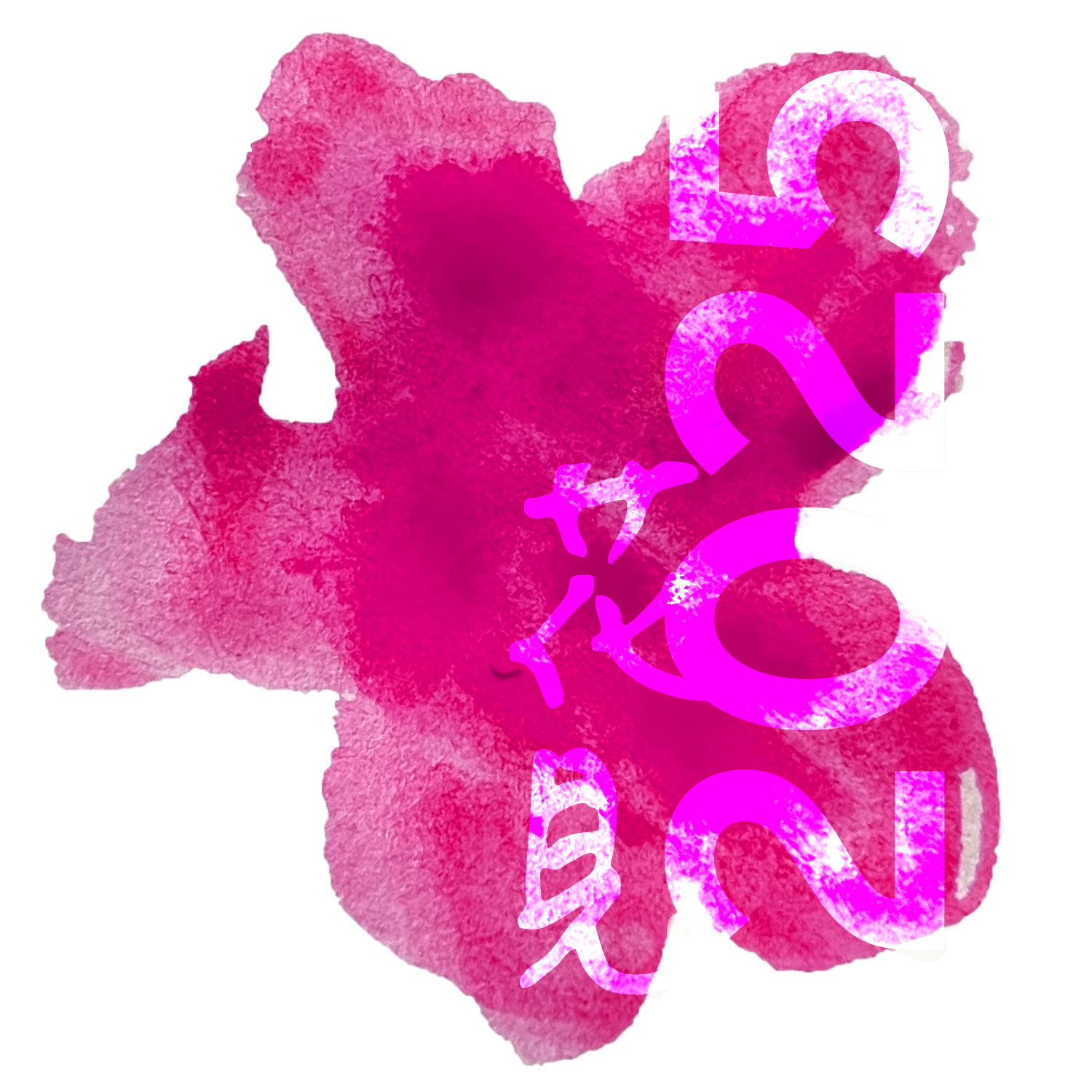 2025logo.png