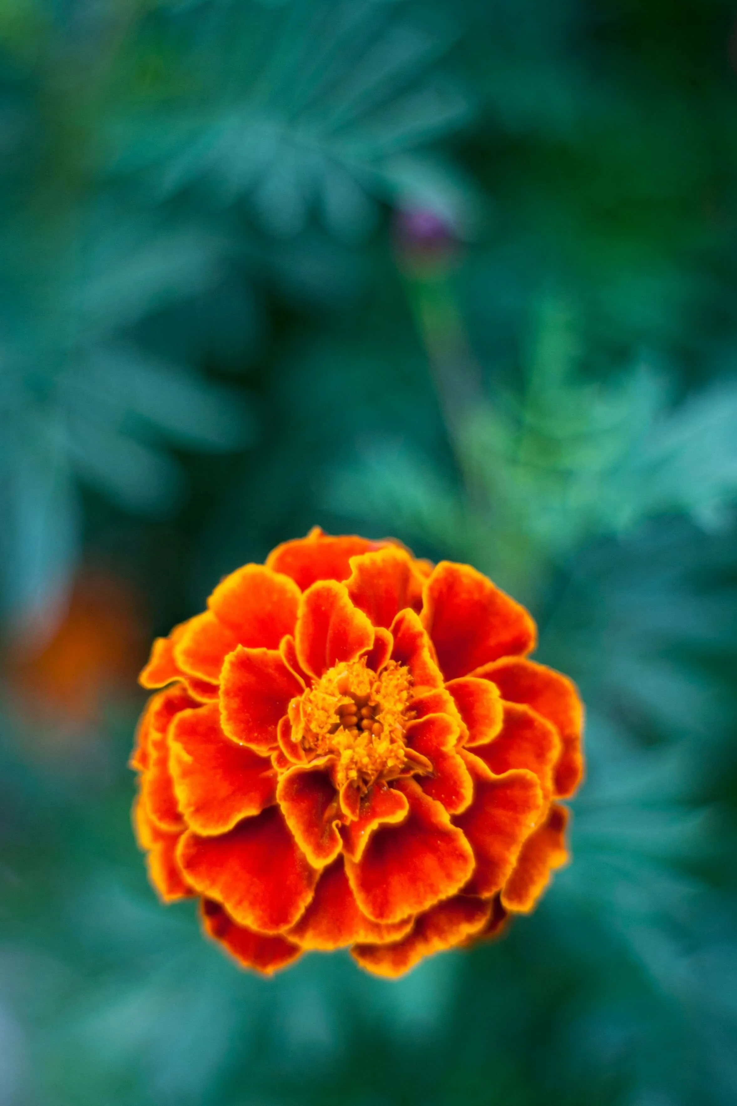 Heart of the Enterprise