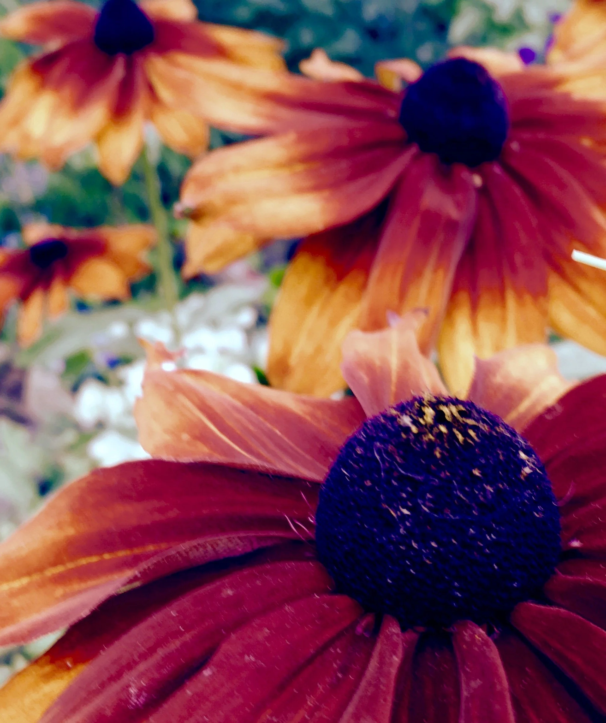 The Discipline of the Pause: What I Learned the Hard Way