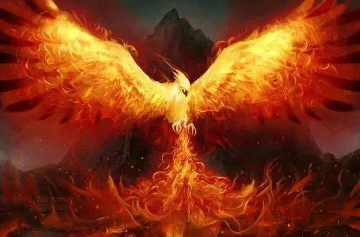 Adversity is Opportunity