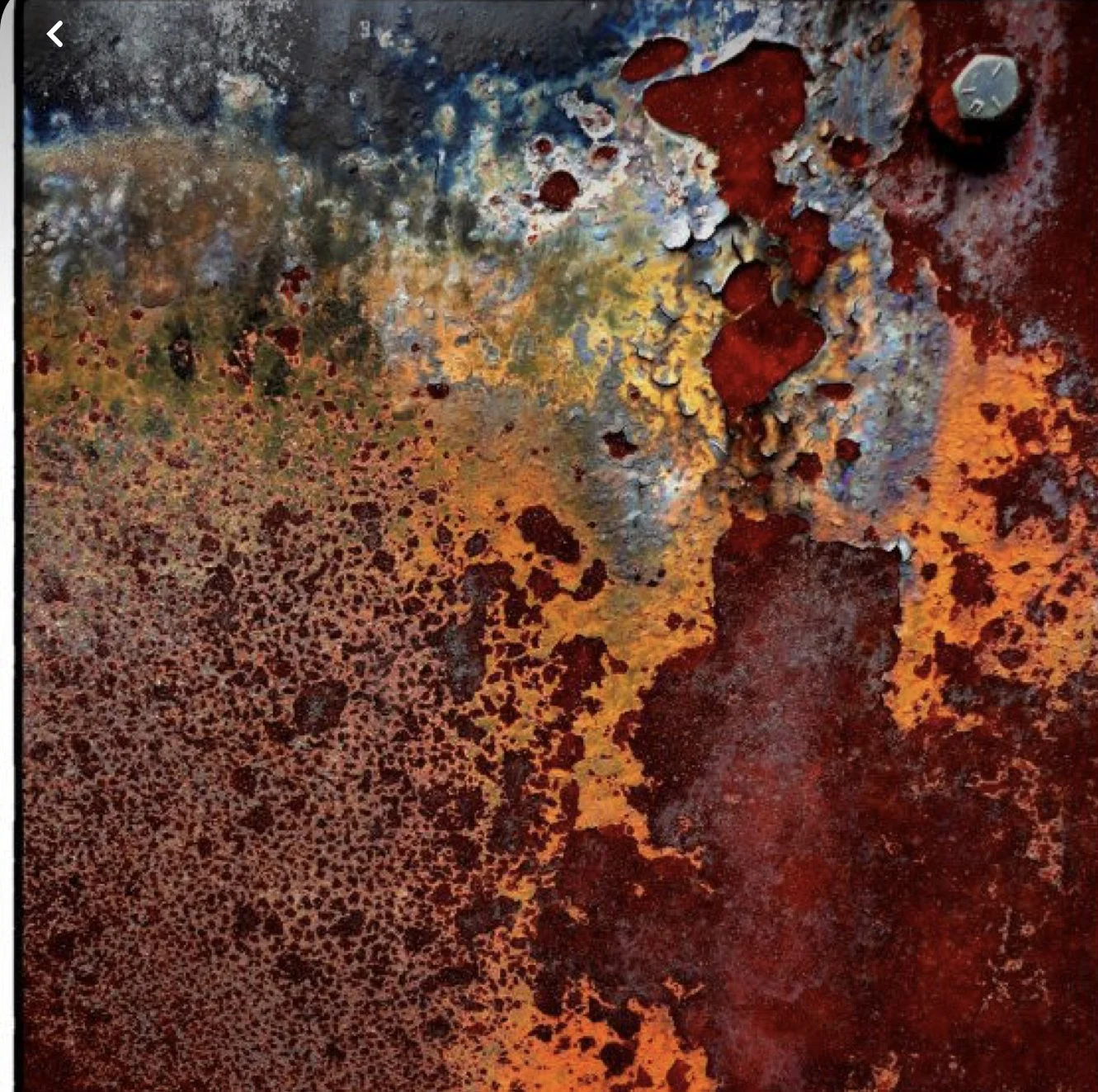 Rooted in Purpose: Building Endurance in an Unpredictable World