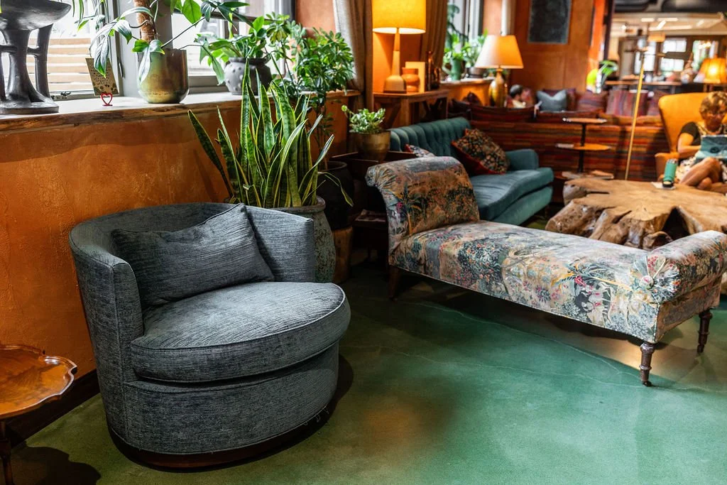 Cozy lounge area with vintage and modern furniture, including a round gray armchair and a floral-patterned chaise lounge, green carpet, wooden wall, potted plants on window sill, and people relaxing in the background.