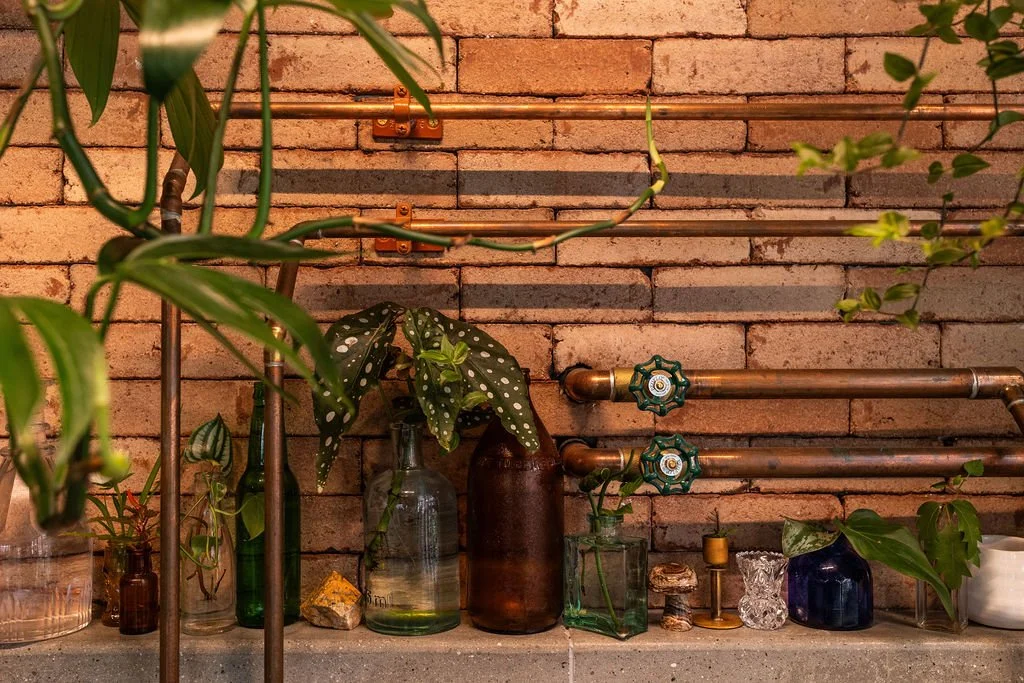 Decorative brick wall with exposed plumbing pipes and various glass bottles and containers with plants on a concrete surface.