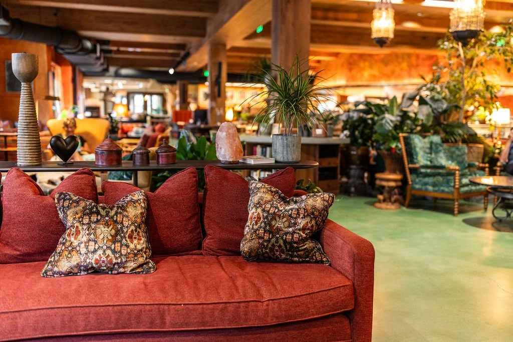 Interior of a cozy, stylish lounge or living area with a red velvet sofa, decorative pillows, and various plants, wooden furniture, and warm lighting.