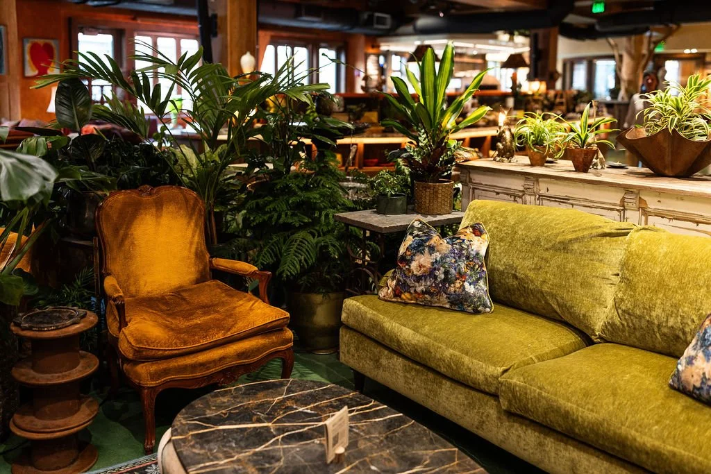 A cozy interior featuring a vintage orange velvet armchair, a green velvet sofa with floral pillows, and numerous potted plants on a white distressed cabinet and in the background, creating a lush, inviting atmosphere.