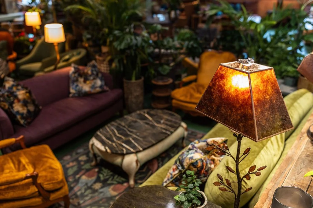A cozy lounge with vintage furniture, green plants, and warm lighting, featuring a table lamp with a brown shade and a marble-top table.