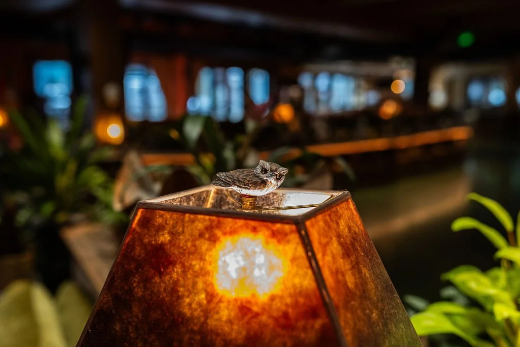 A small owl is perched on the top of an orange-brown lampshade inside a dimly lit restaurant or bar with potted plants and blurred background.