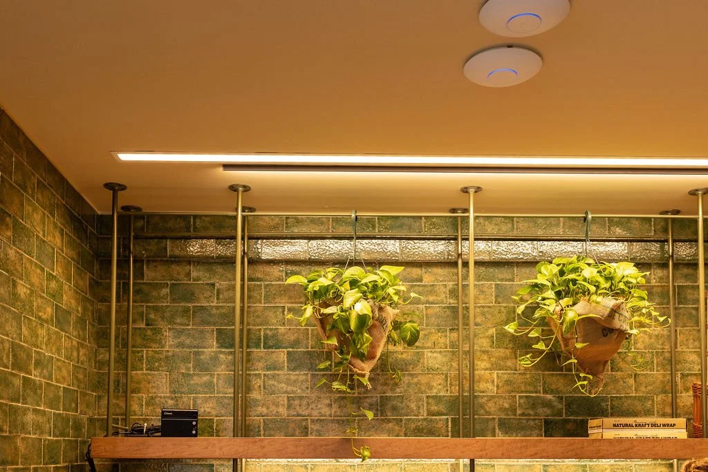 Two hanging potted green plants on a wooden shelf against a green brick wall in an indoor space.