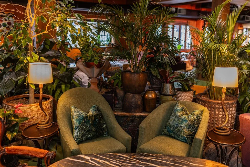 A cozy indoor space with two green armchairs, each with a patterned pillow, surrounded by various large potted plants and two small table lamps with beige shades, creating a warm, inviting atmosphere.