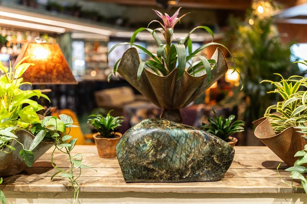 Indoor wooden table with various potted plants, including a large green plant in a decorative container, a pebble sculpture, and smaller plants, with warm ambient lighting in the background.