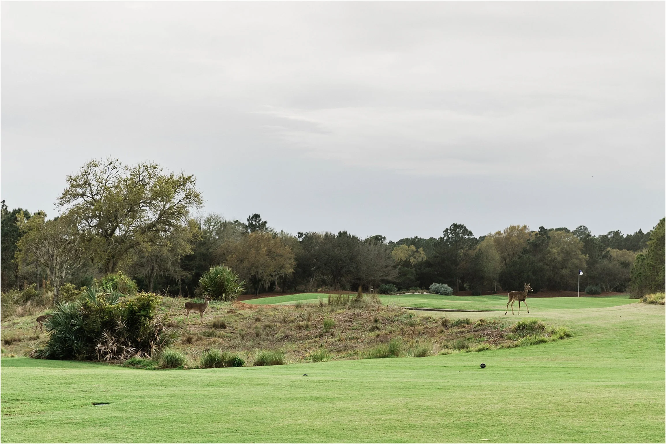 Camp Creek Wedding_0076.jpg