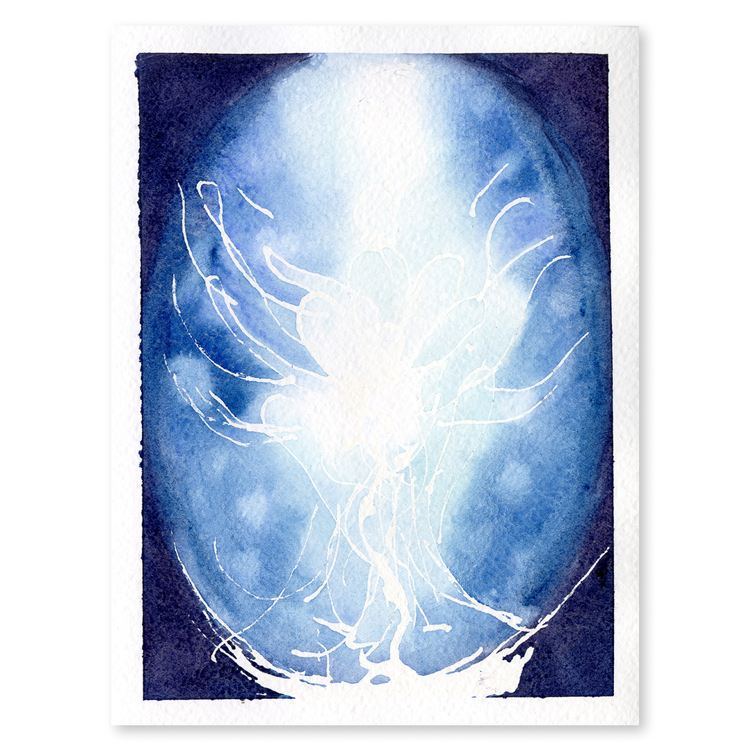 original navy blue.png