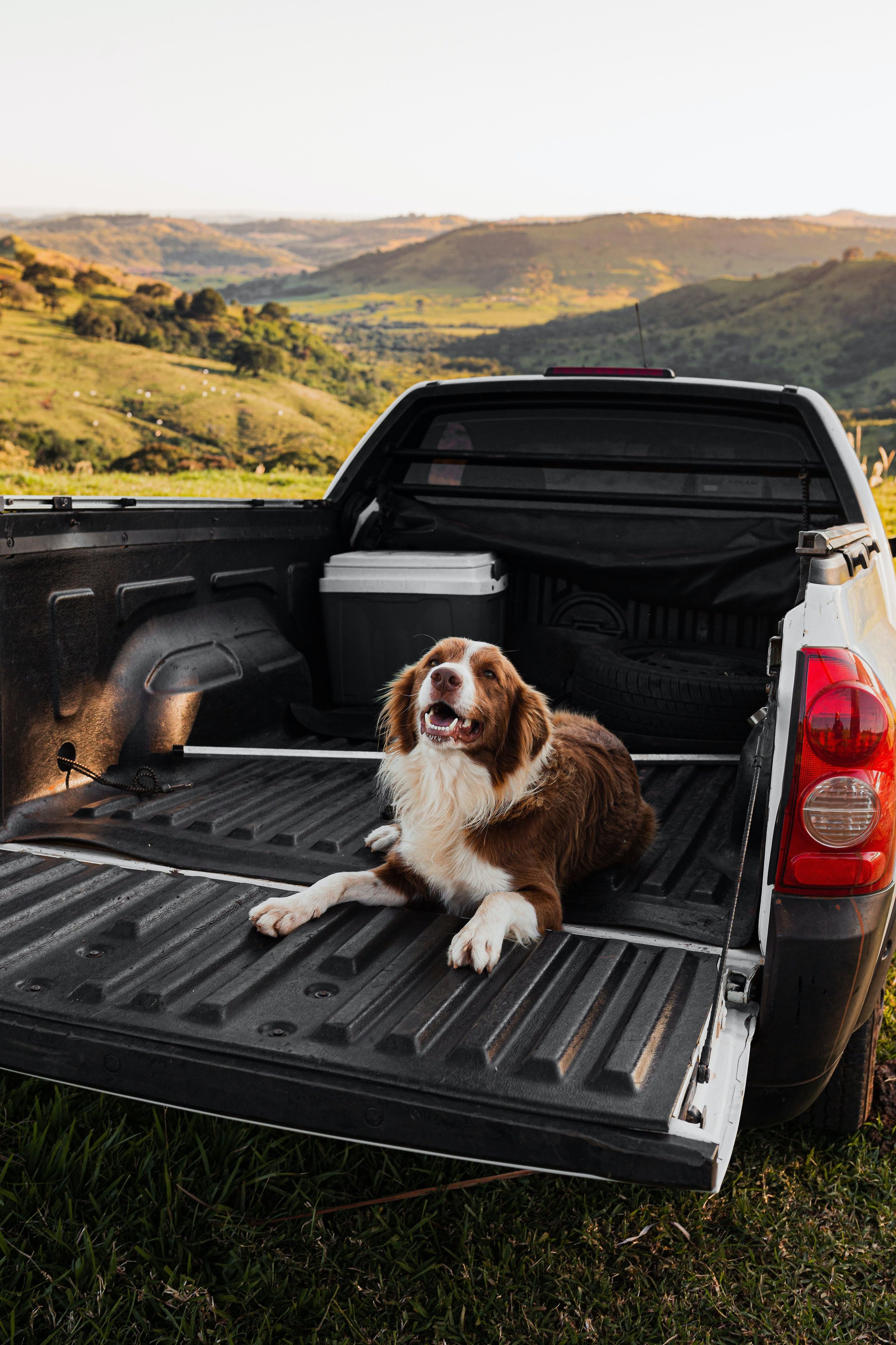 Spray-In vs. Drop-In Bedliners: Protecting Your Truck Bed