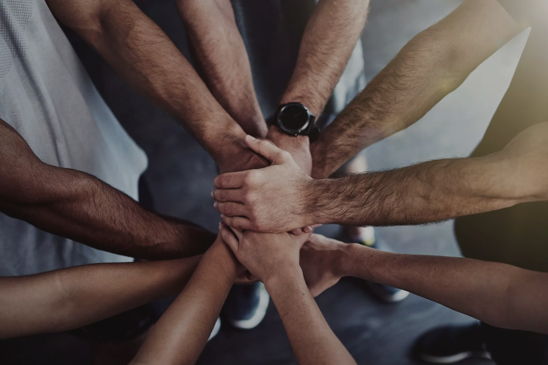 newsletter graphics (32).png