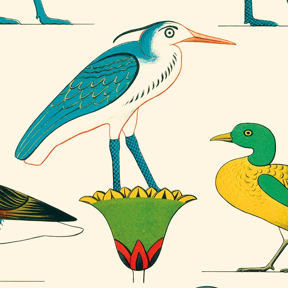 CHAMPOLLION_oiseaux3_MIN2.jpg