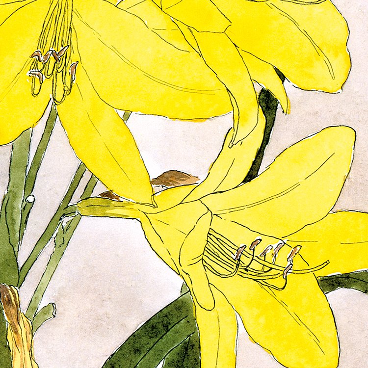 OVERBECK_yellow_dailily_MIN2.jpg