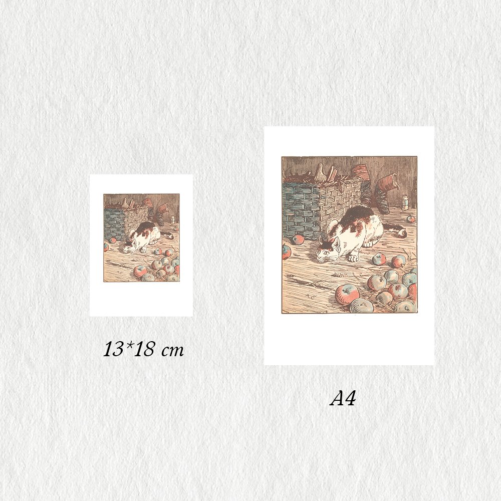 CALDECOTT_the_cat_MIN3.jpg